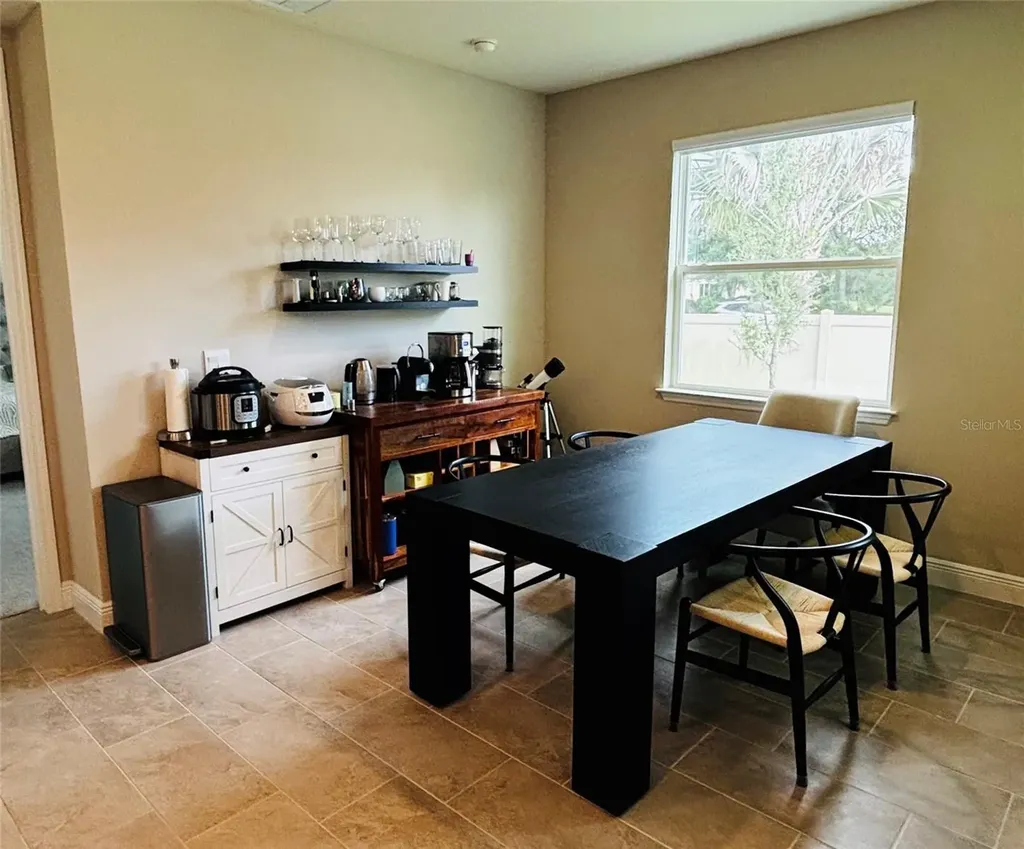 23302 Scaglione Drive Lutz FL 33549