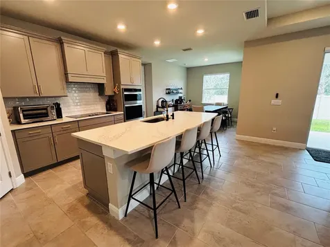 23302 Scaglione Drive Lutz FL 33549