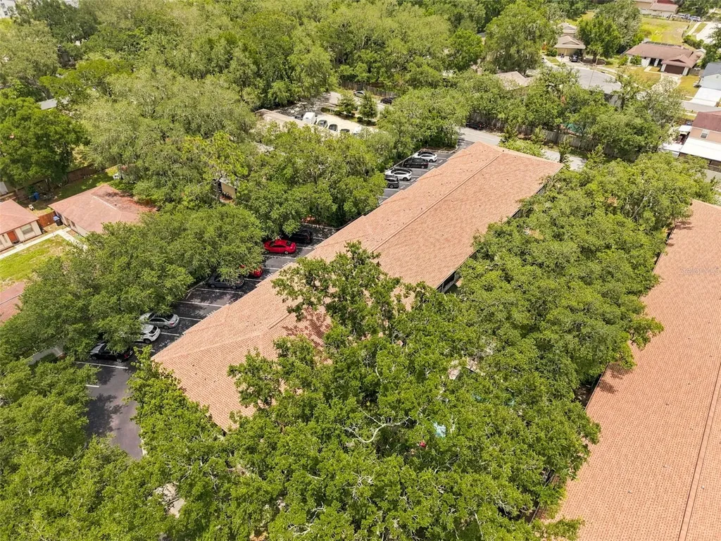 5822 Nature Terrace Cove Tampa FL 33617