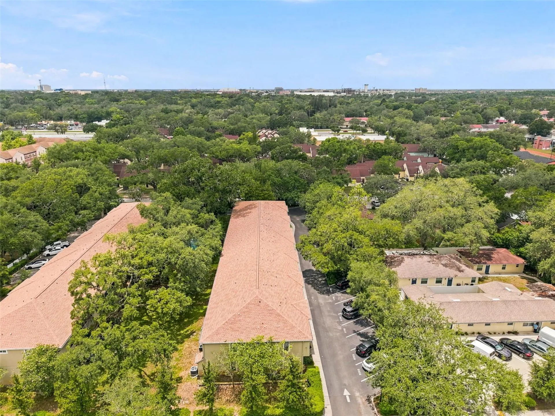 5822 Nature Terrace Cove Tampa FL 33617