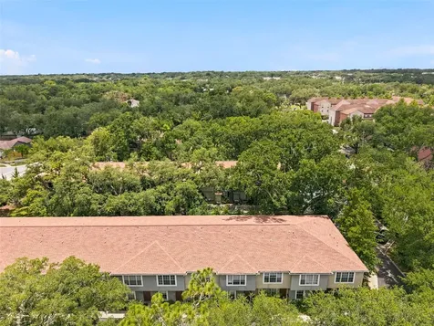 5822 Nature Terrace Cove Tampa FL 33617