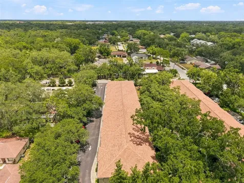 5822 Nature Terrace Cove Tampa FL 33617