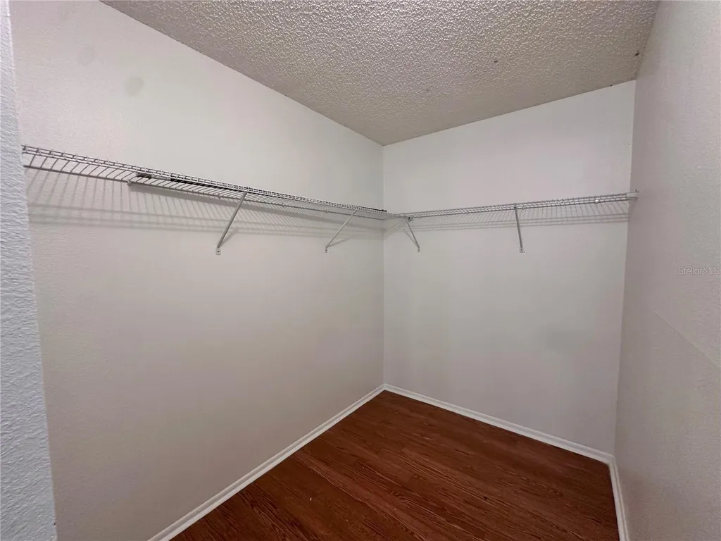 3004 Bonaventure Circle Palm Harbor FL 34684