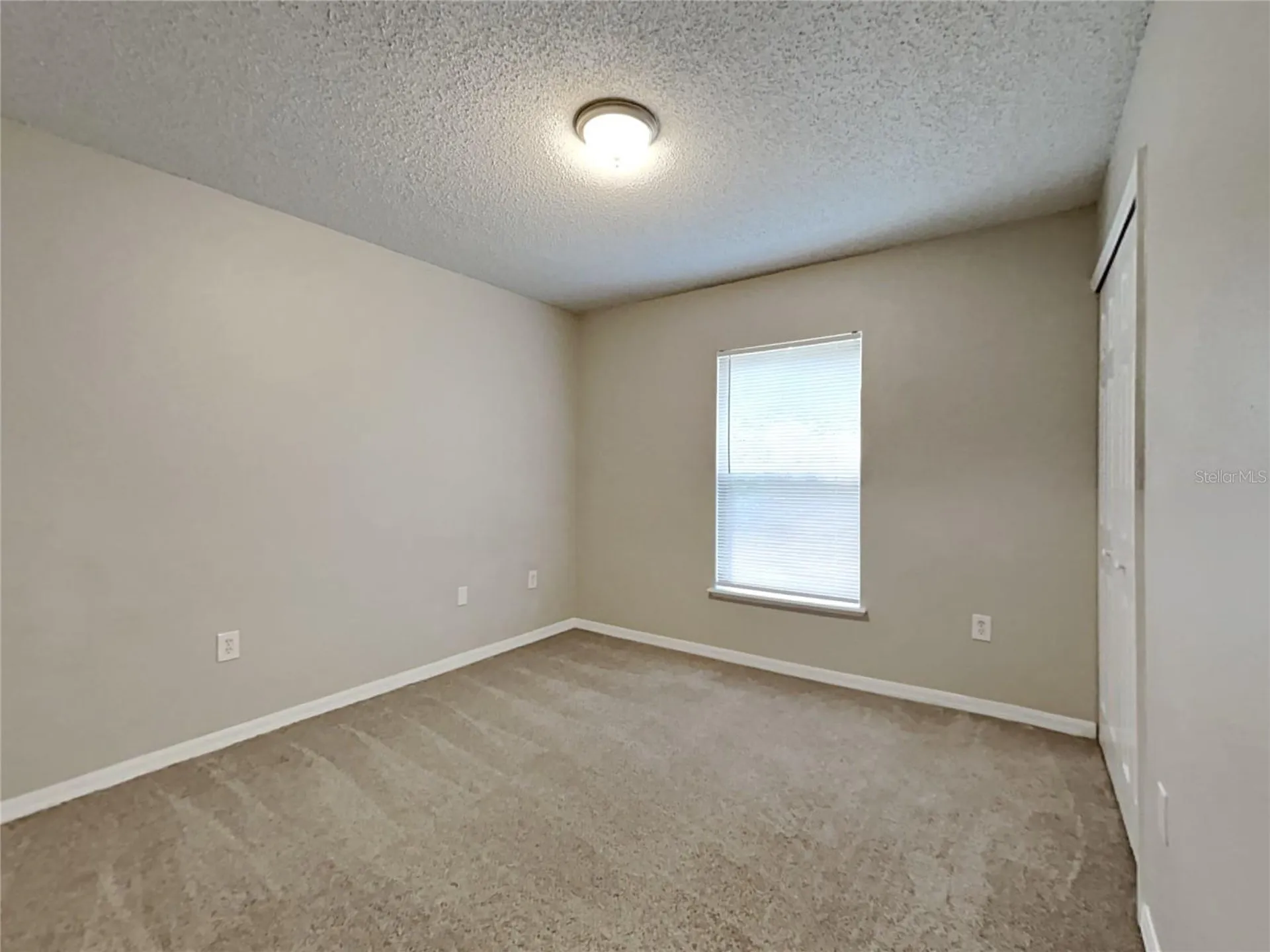 Spring Hill FL 34609