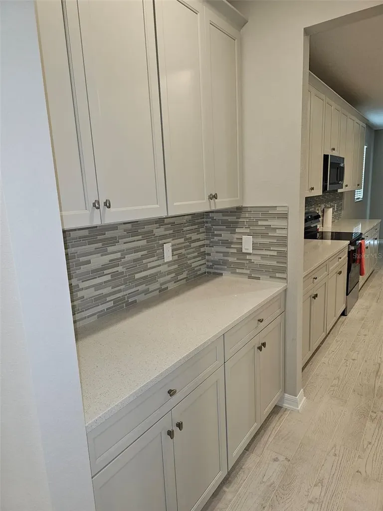 38049 Copper Penny Court Zephyrhills FL 33540