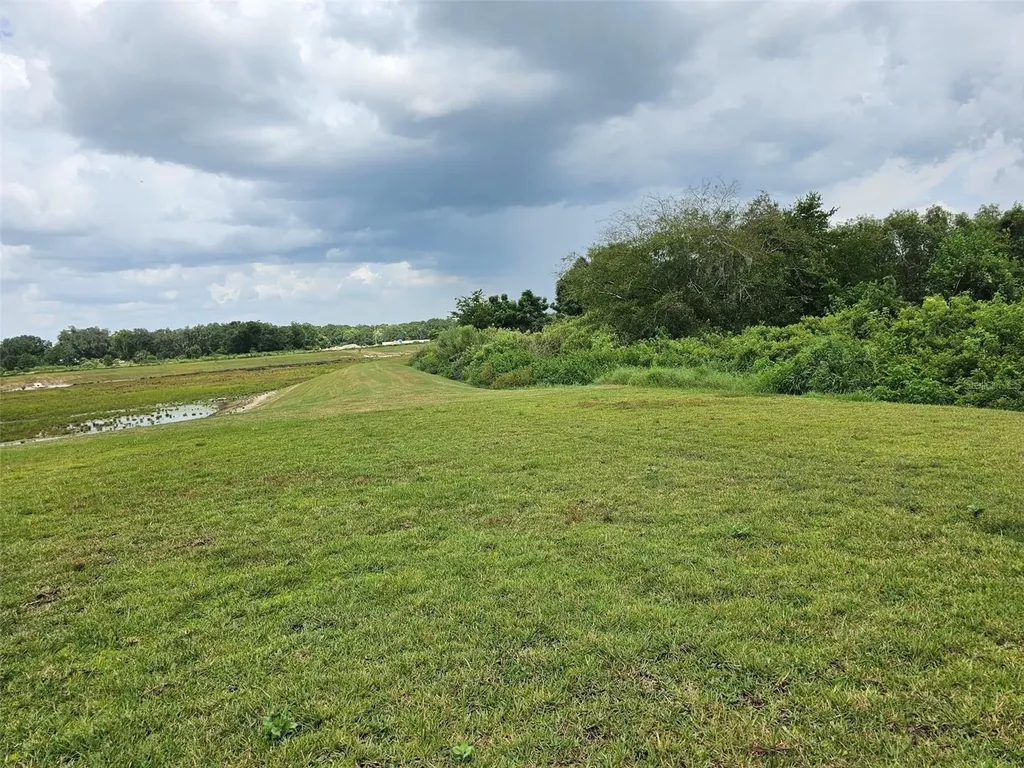 38049 Copper Penny Court Zephyrhills FL 33540