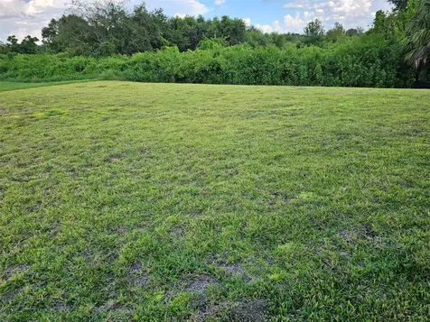 38049 Copper Penny Court Zephyrhills FL 33540