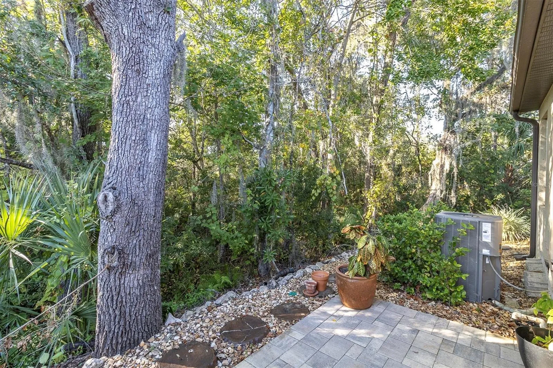 7715 Dawson Creek Lane New Port Richey FL 34654