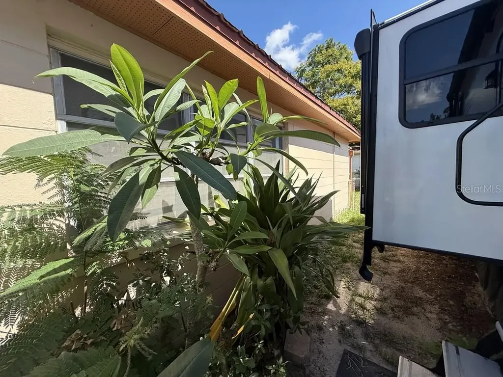 1814 Heather Avenue Tampa FL 33612