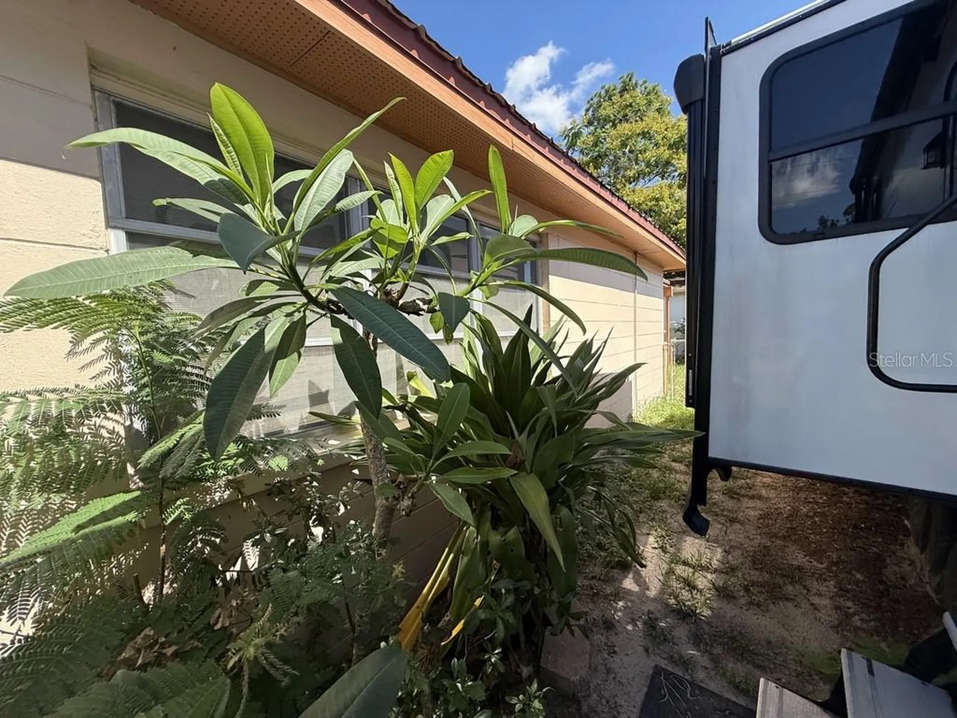 1814 Heather Avenue Tampa FL 33612