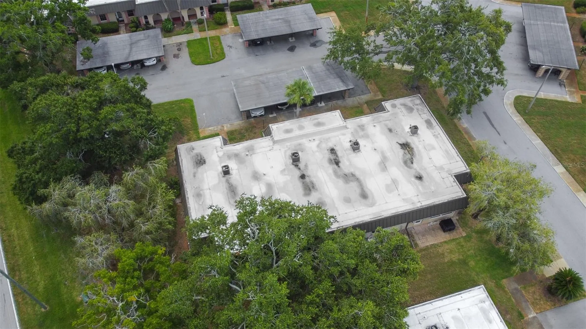4450 Sunstate Drive New Port Richey FL 34652