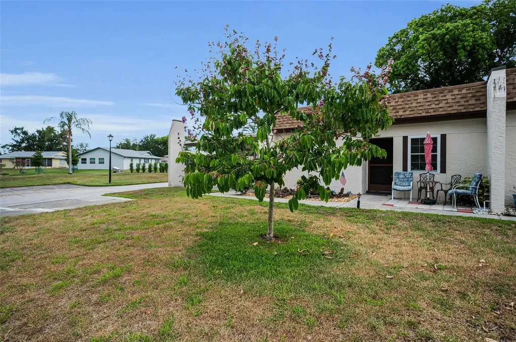 3097 Mission Grove Drive Palm Harbor FL 34684