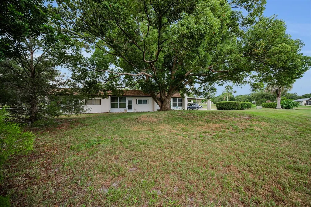 3097 Mission Grove Drive Palm Harbor FL 34684