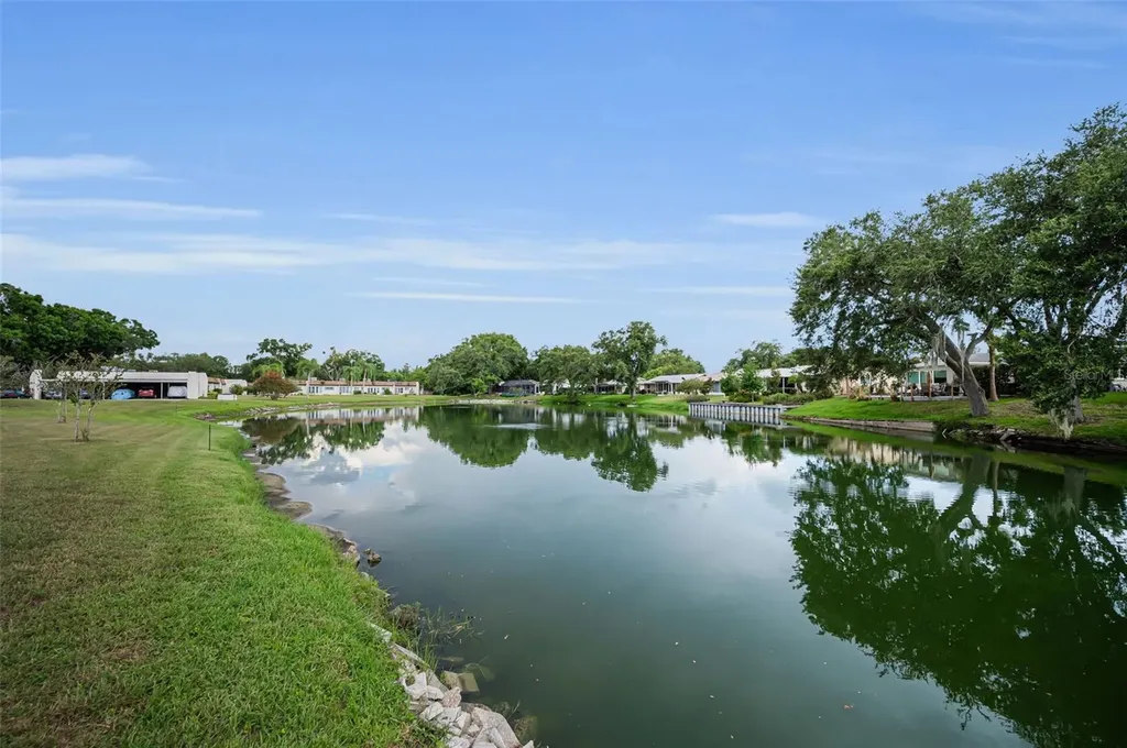 3097 Mission Grove Drive Palm Harbor FL 34684