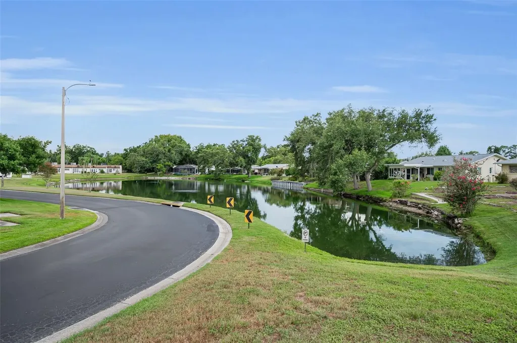 3097 Mission Grove Drive Palm Harbor FL 34684