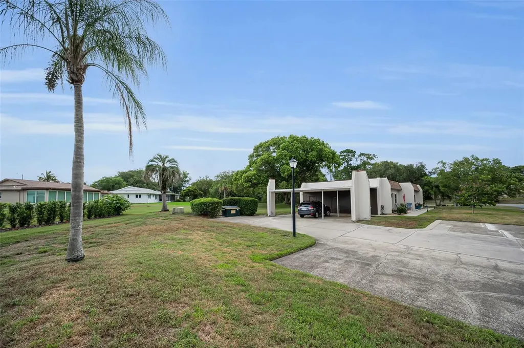 3097 Mission Grove Drive Palm Harbor FL 34684
