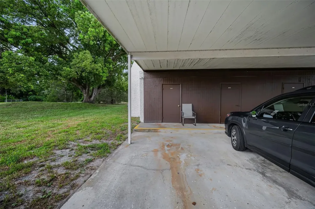 3097 Mission Grove Drive Palm Harbor FL 34684