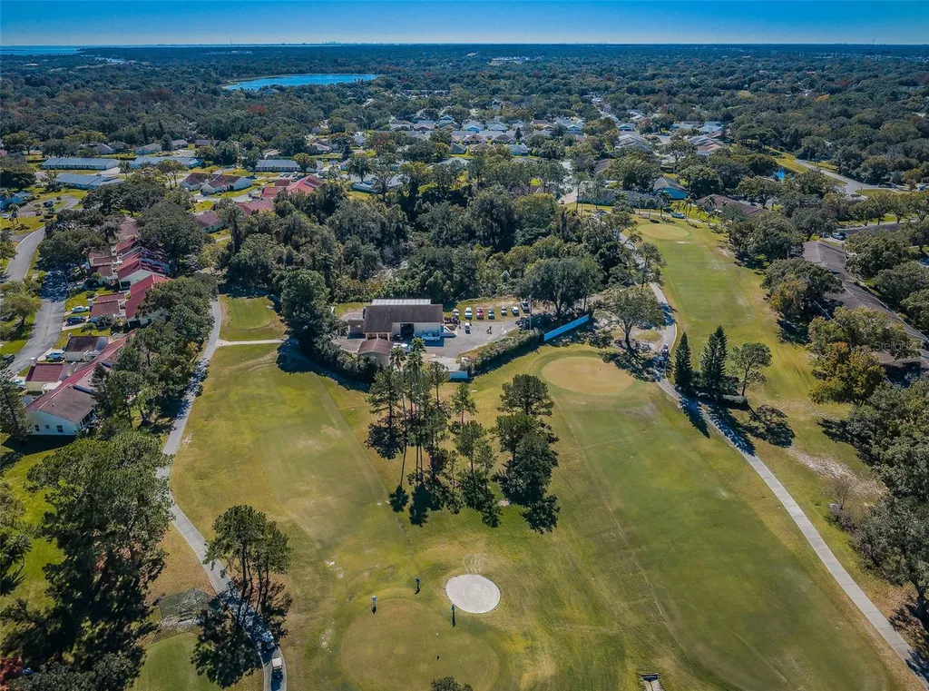 3097 Mission Grove Drive Palm Harbor FL 34684