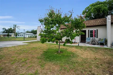 3097 Mission Grove Drive Palm Harbor FL 34684