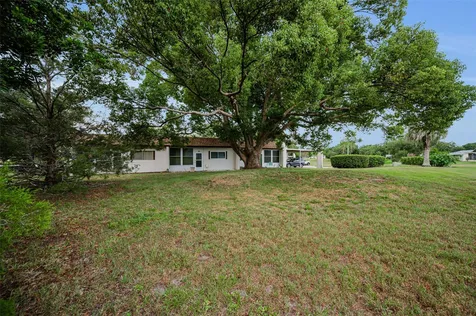 3097 Mission Grove Drive Palm Harbor FL 34684
