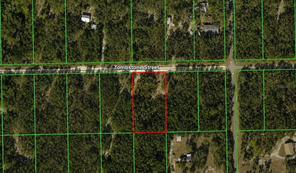 33240 Tombstone Street Webster FL 33597