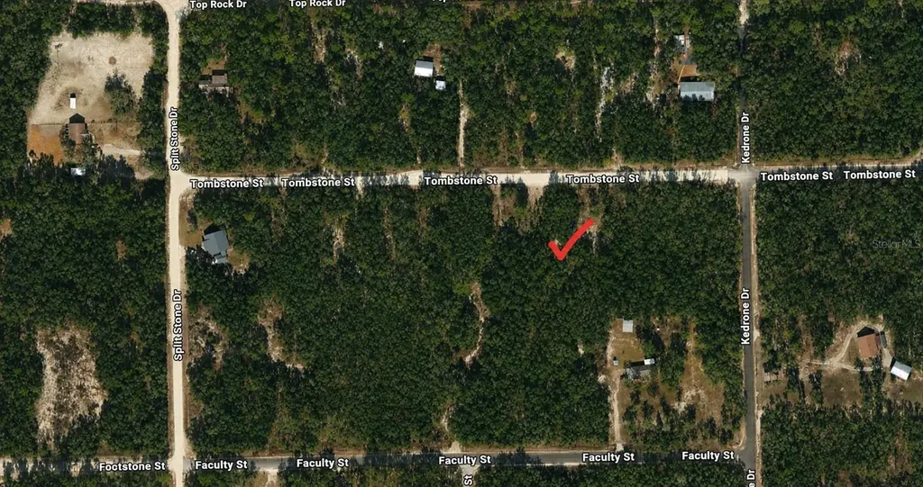 33240 Tombstone Street Webster FL 33597