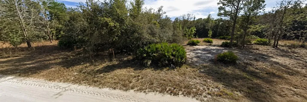 33240 Tombstone Street Webster FL 33597