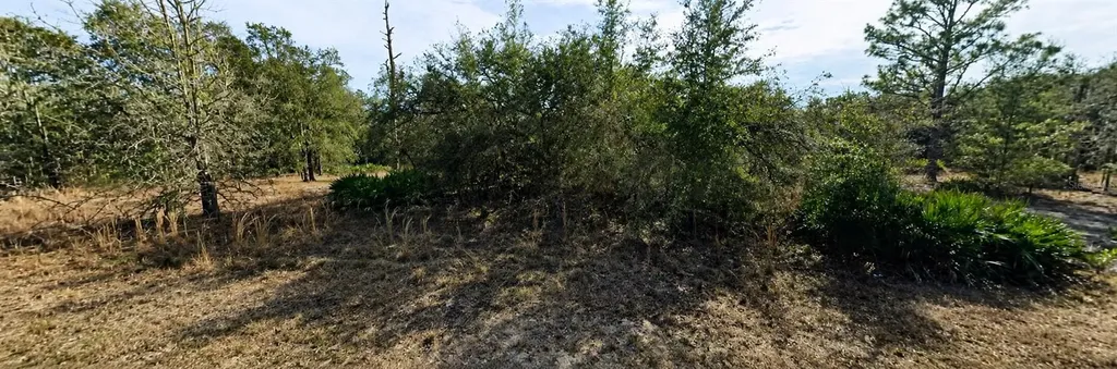 33240 Tombstone Street Webster FL 33597