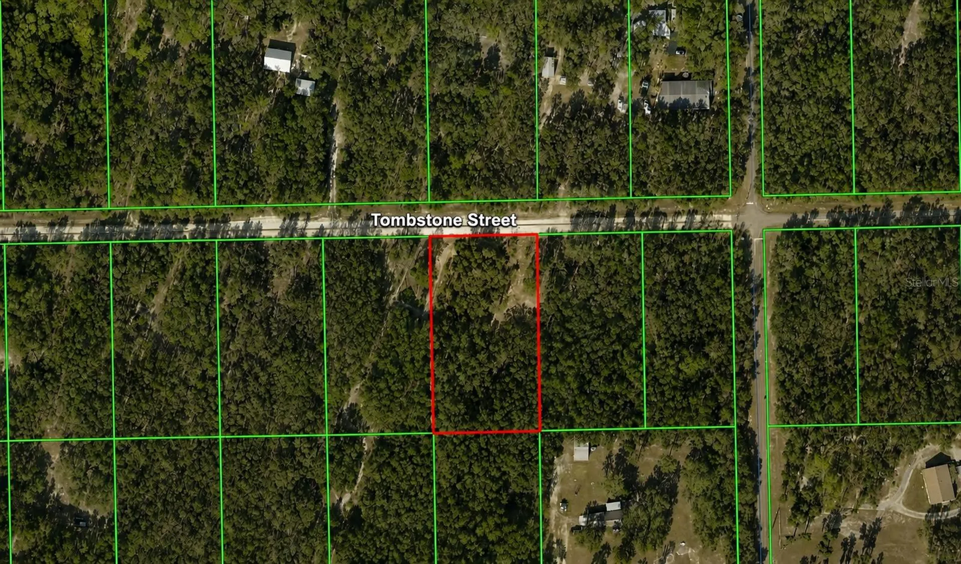 33240 Tombstone Street Webster FL 33597