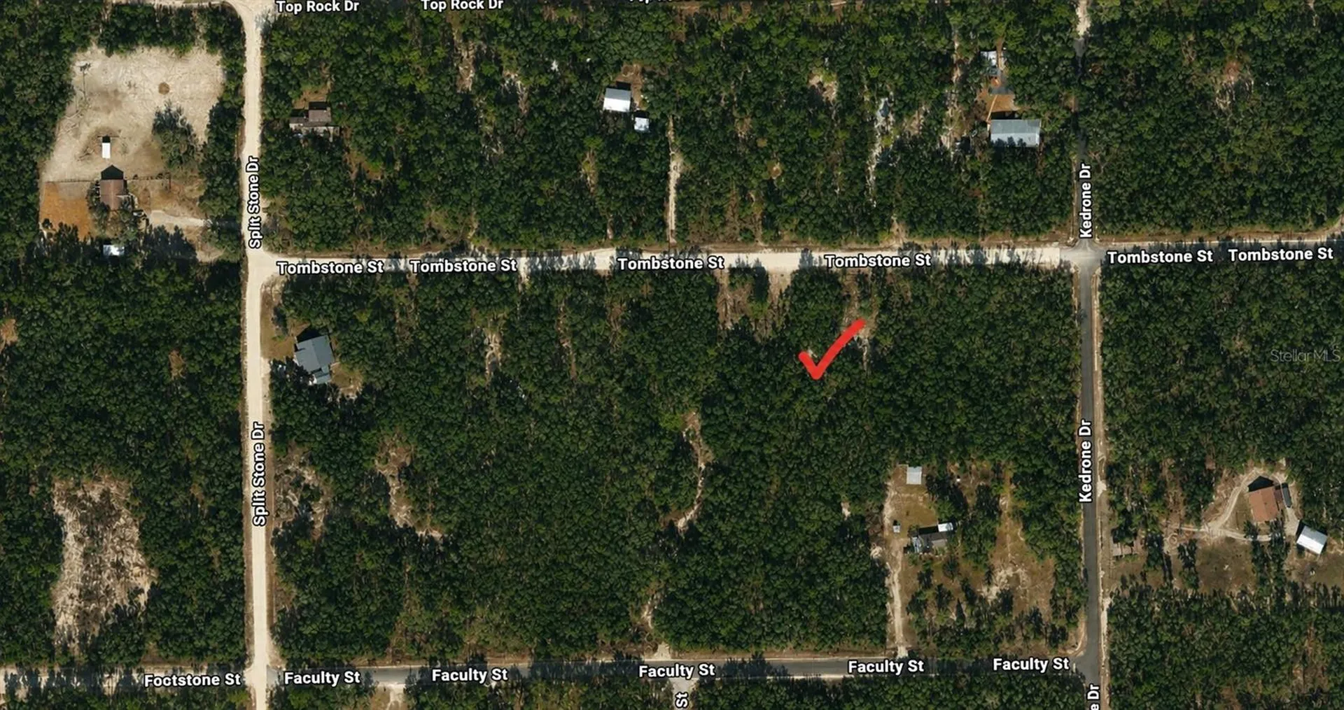 33240 Tombstone Street Webster FL 33597