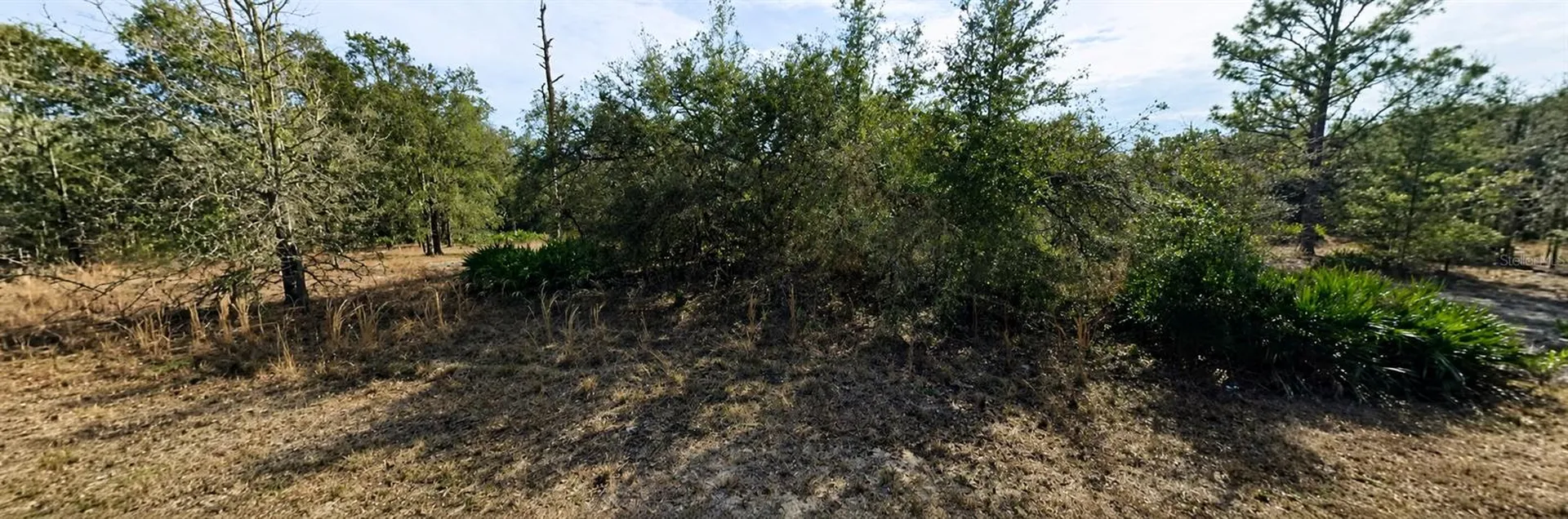 33240 Tombstone Street Webster FL 33597