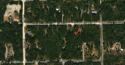 33240 Tombstone Street Webster FL 33597