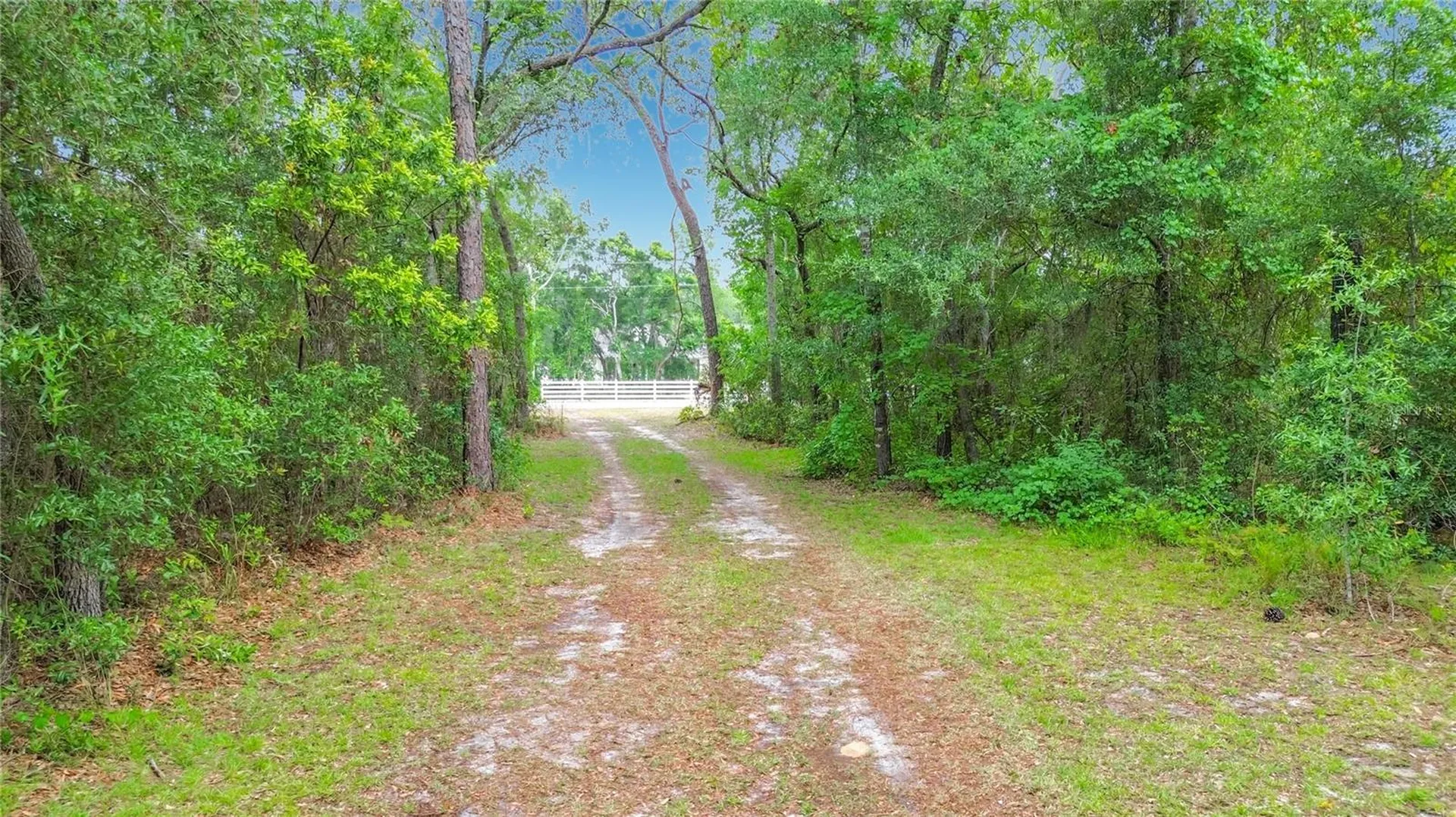6687 W 7 Rivers Drive Crystal River FL 34429