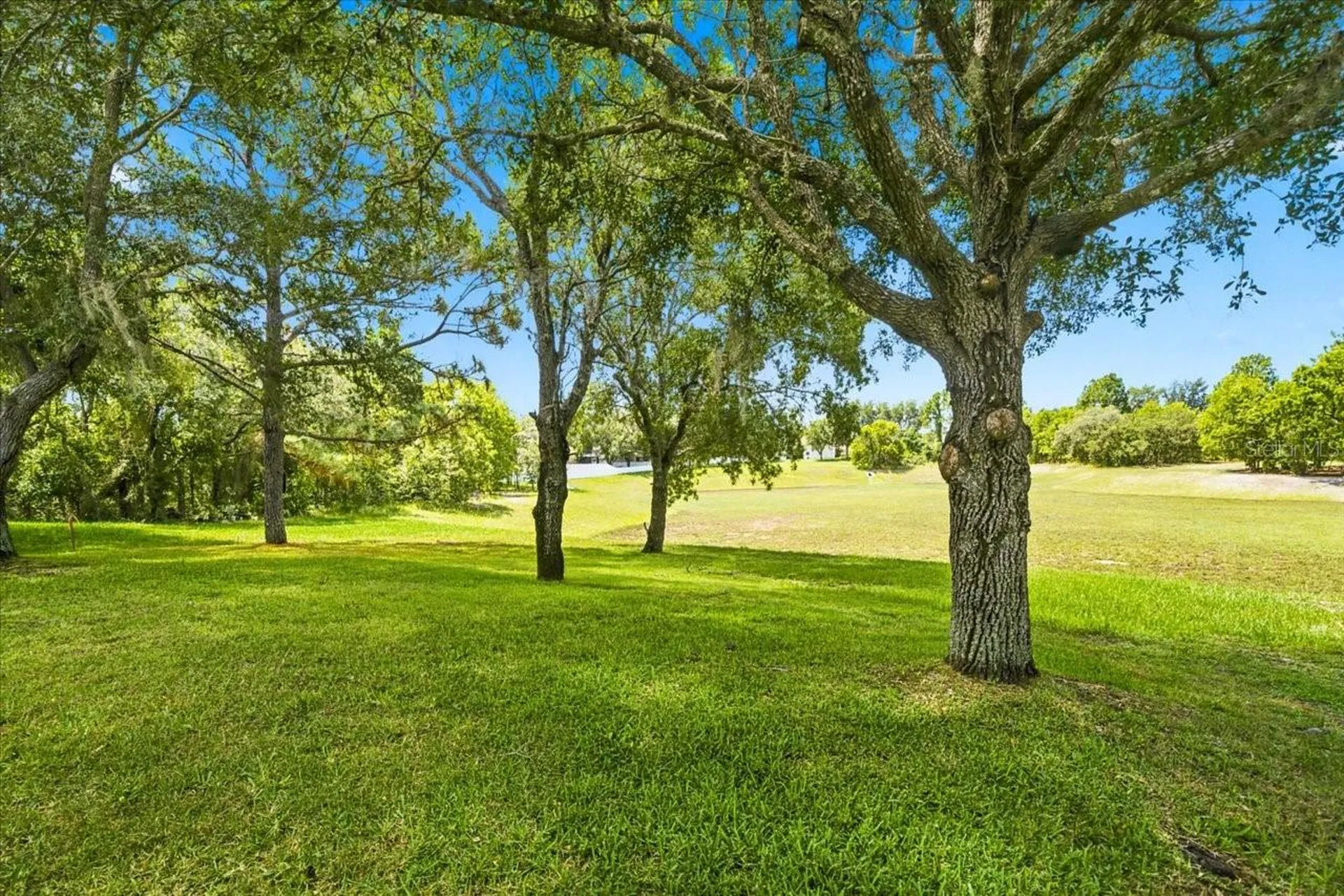 13444 Haverhill Drive Spring Hill FL 34609