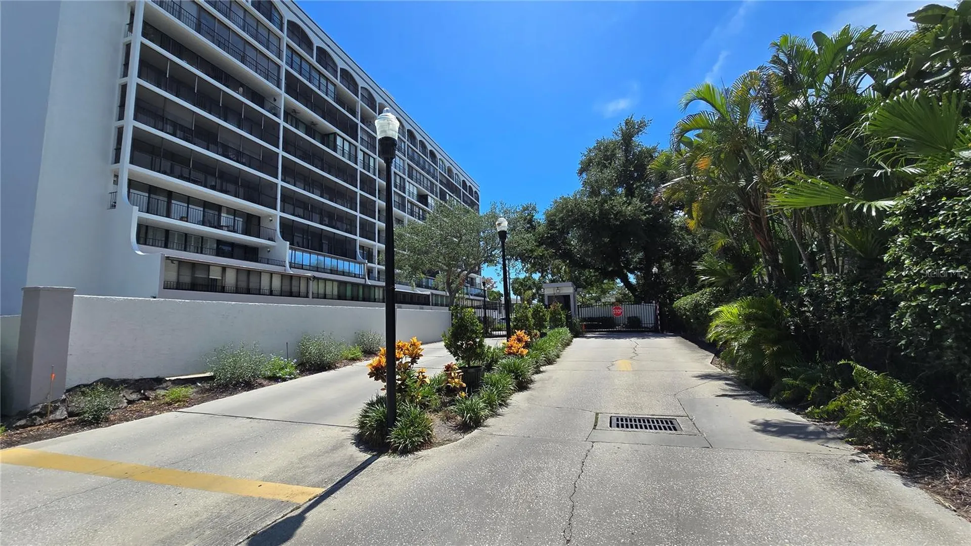 3211 W Swann Avenue Tampa FL 33609