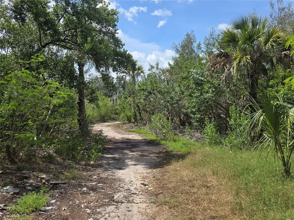 Main Street New Port Richey FL 34652