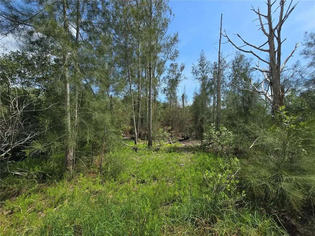 Main Street New Port Richey FL 34652