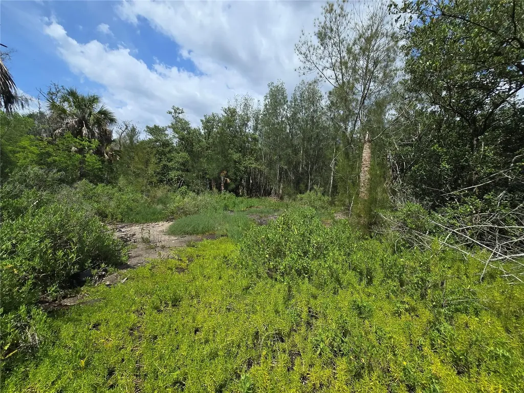 Main Street New Port Richey FL 34652