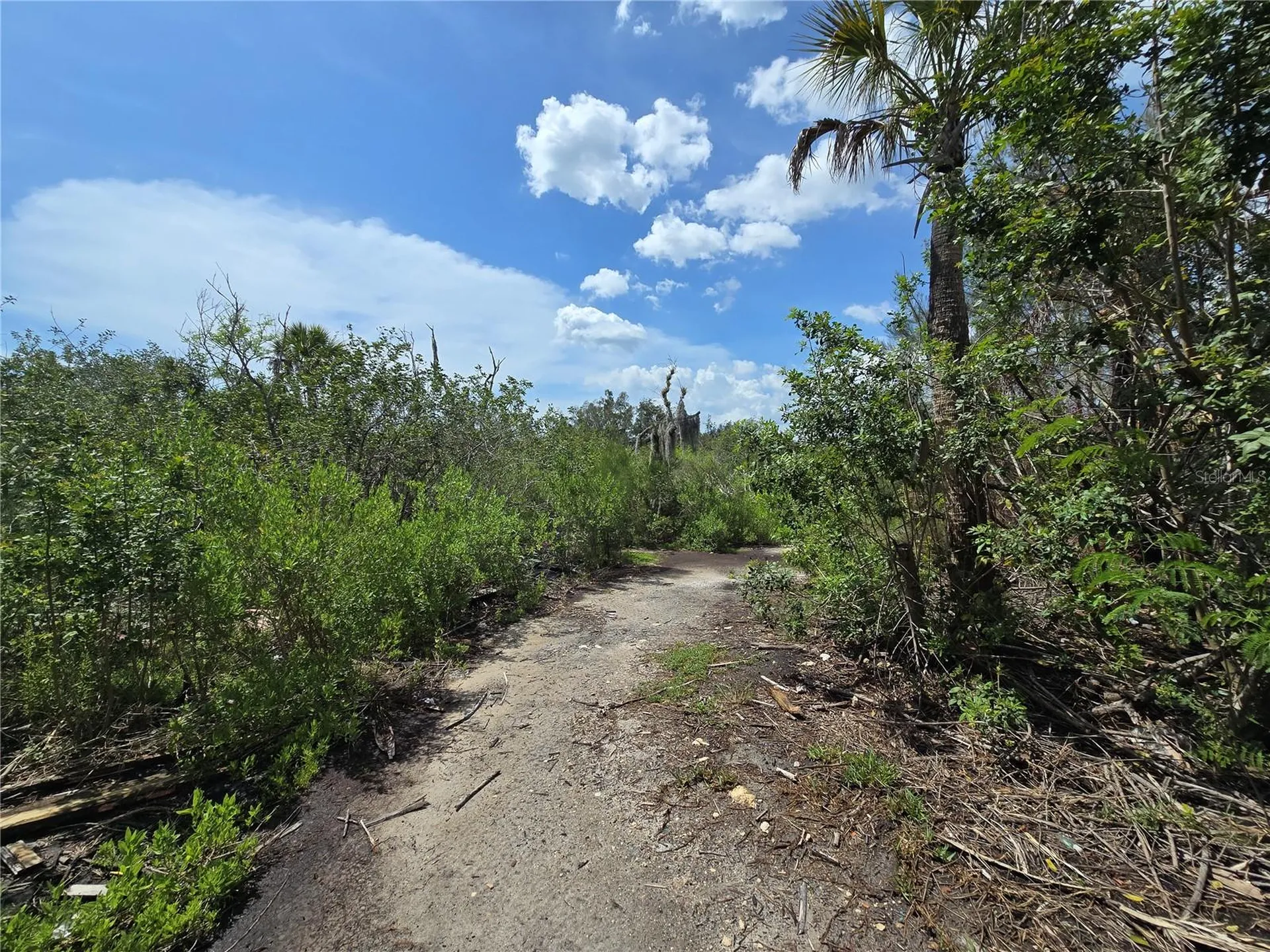 Main Street New Port Richey FL 34652