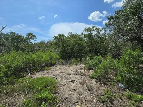 Main Street New Port Richey FL 34652
