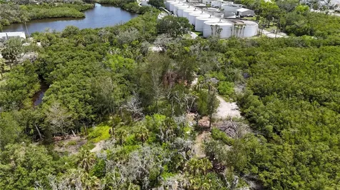 Main Street New Port Richey FL 34652