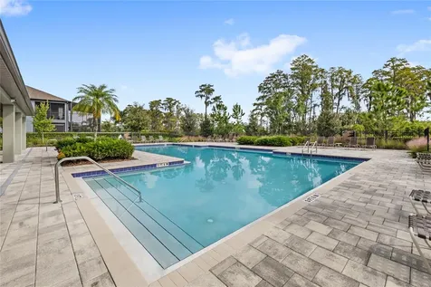 13155 Spring Grove Way Winter Garden FL 34787