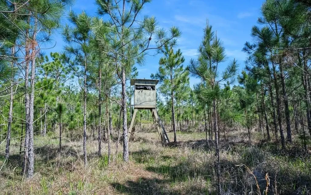 0 Carter Street Bunnell FL 32110