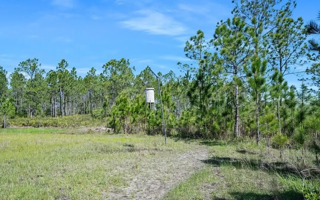 0 Carter Street Bunnell FL 32110