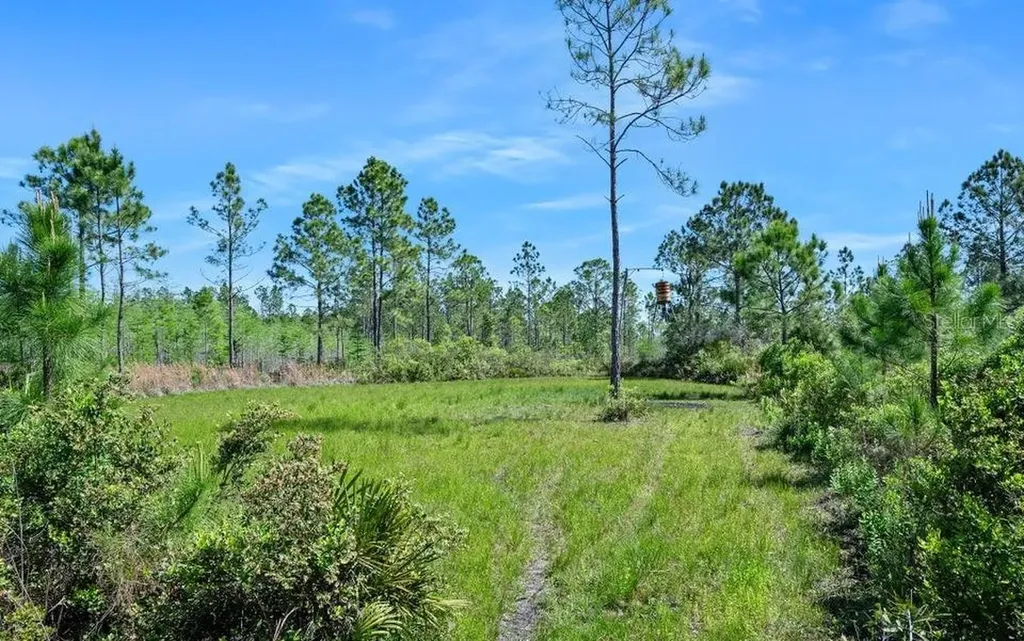 0 Carter Street Bunnell FL 32110