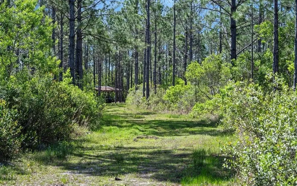0 Carter Street Bunnell FL 32110