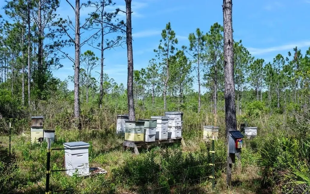 0 Carter Street Bunnell FL 32110