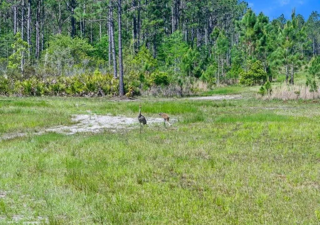 0 Carter Street Bunnell FL 32110