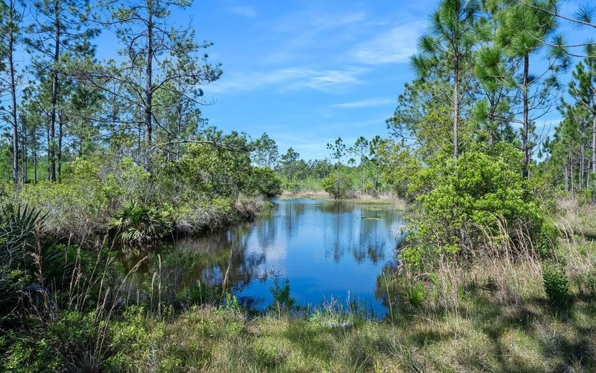 0 Carter Street Bunnell FL 32110