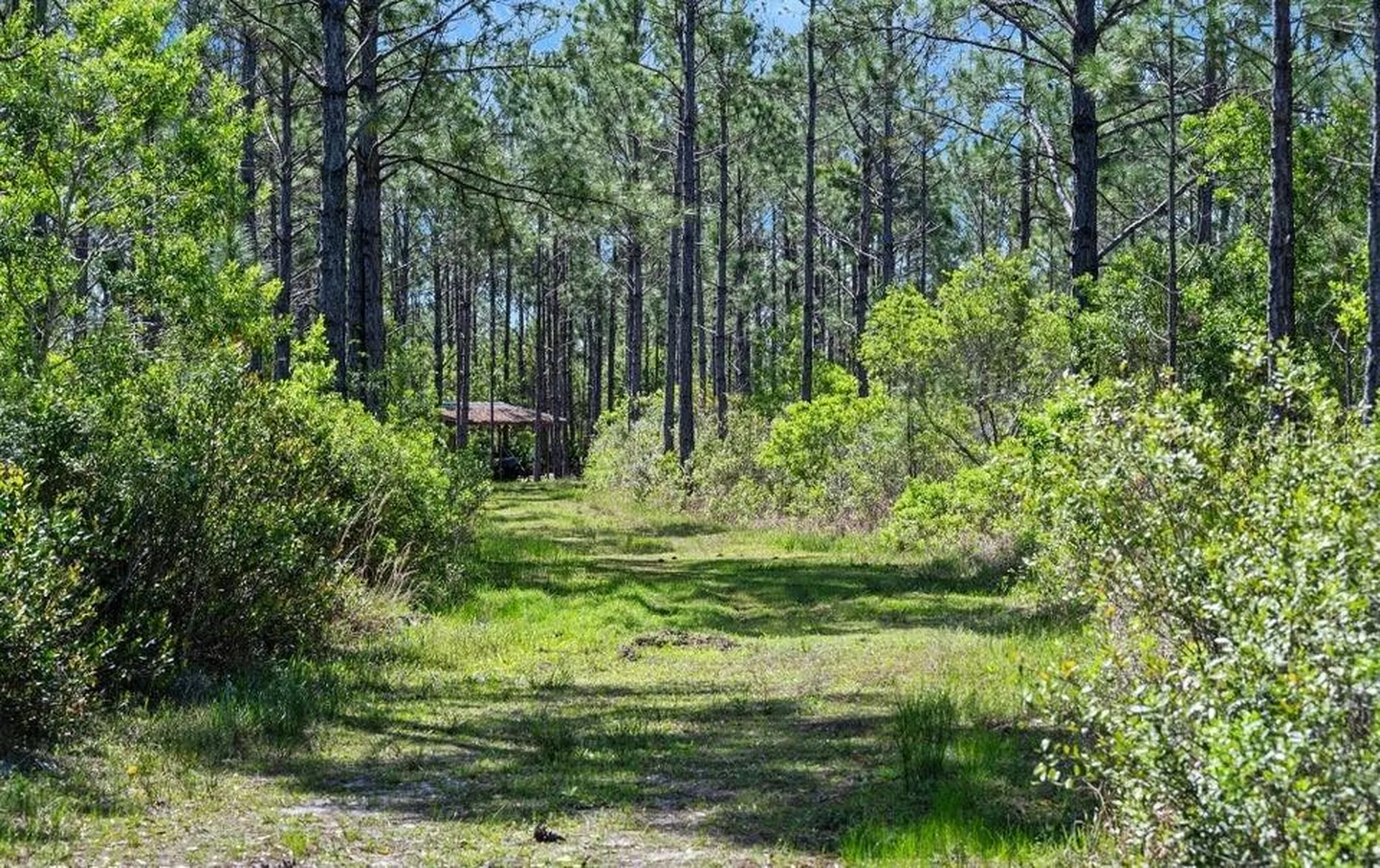 0 Carter Street Bunnell FL 32110
